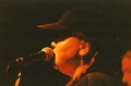 Kelly Bird